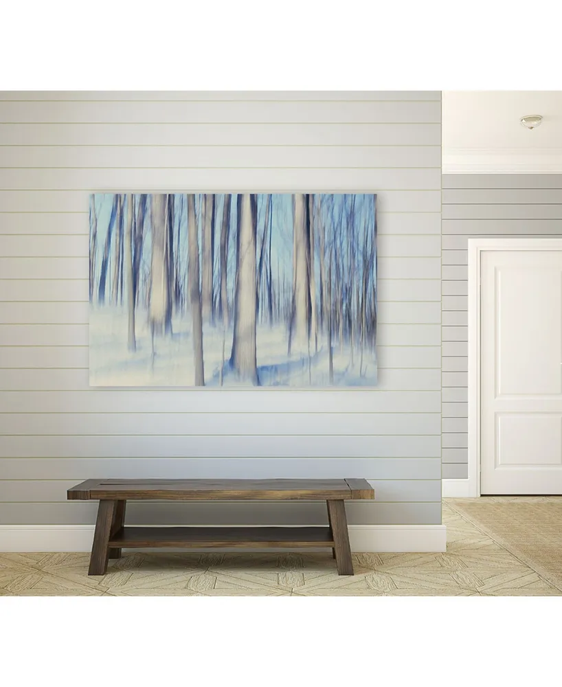 Giant Art 20" x 16" Flurries Museum Mounted Canvas Print