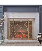 Pleasants Fireplace Screen