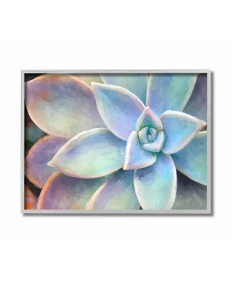 Stupell Industries Succulent Plant Vibrant Bloom Painting Gray Framed Texturized Art, 16" L x 20" H