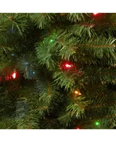 National Tree 6' Kincaid Spruce Tree with 400 Multicolor Lights