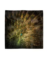 Ambesonne Peacock Set of 4 Napkins