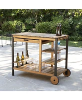 Southern Enterprises Briallen Outdoor Bar Cart