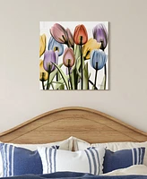 Empire Art Direct Tulip Scape x-ray Ii Frameless Free Floating Tempered Glass Panel Graphic Wall Art, 24" x 24" x 0.2"