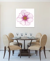 Empire Art Direct Magenta Cosmo on White Frameless Free Floating Tempered Glass Panel Graphic Wall Art, 40" x 40" x 0.2"