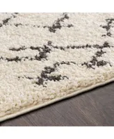 Surya Berber Shag Bbe Charcoal Area Rug