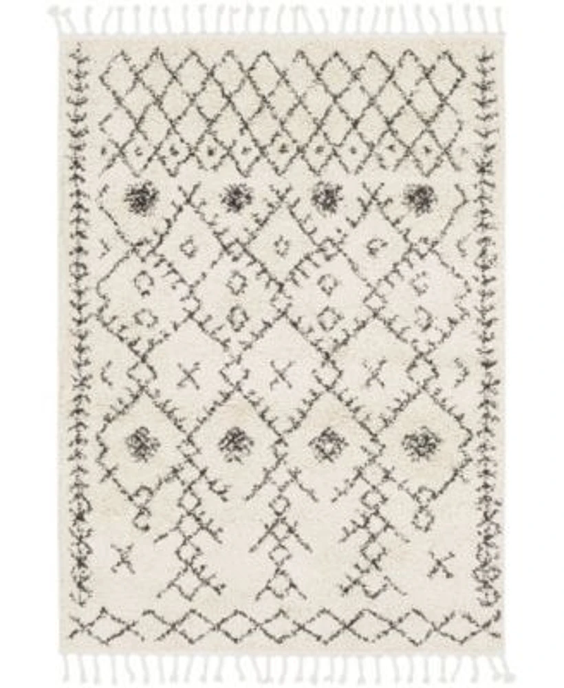 Livabliss Berber Shag Bbe 2302 Charcoal Area Rug