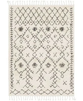 Livabliss Berber Shag Bbe 2302 Charcoal Area Rug