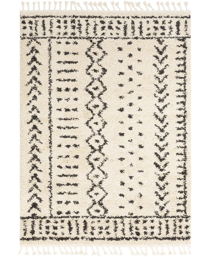 Livabliss Berber Shag Bbe-2311 Charcoal 3'11" x 5'7" Area Rug