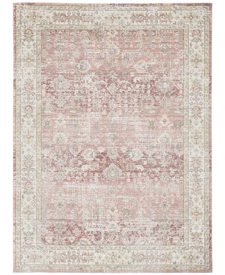 Amer Rugs Century Cen-8 Salmon 3'11" x 5'11" Area Rug