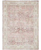 Amer Rugs Century Cen-8 Salmon 3'11" x 5'11" Area Rug