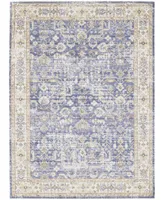 Amer Rugs Century Cen-6 Lavender 5'3" x 7'3" Area Rug