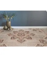 Amer Rugs Eternal Ete-20 Beige/Sand 5'7" x 7'6" Area Rug