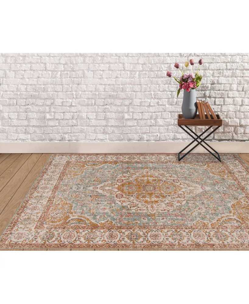 Amer Rugs Eternal Ete-3 Aqua/Ivory 5'7" x 7'6" Area Rug