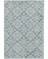 Amer Rugs Boston Bos-35 Mist 2' x 3' Area Rug