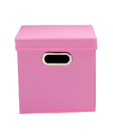 Household Essential Storage Bins with Lids, Set of 2