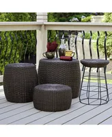Household Essential Resin Wicker Low Table