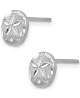 Sand Dollar Stud Earrings in 14k White Gold