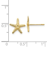 Starfish Stud Earrings in 14k Gold