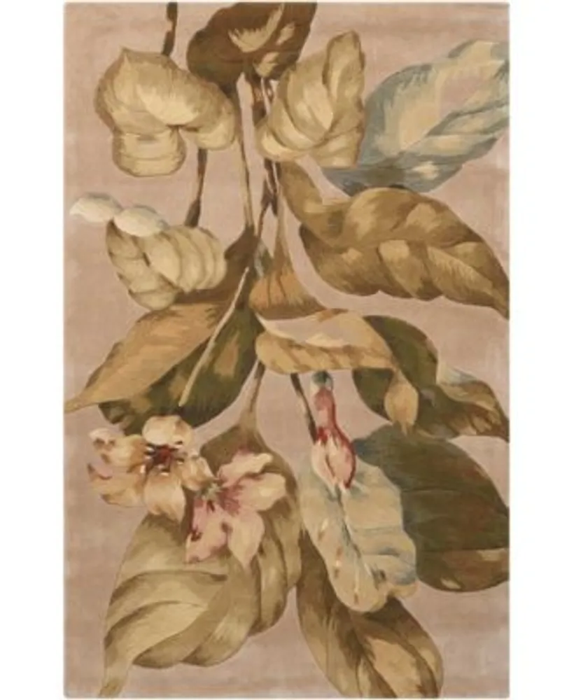 Nourison Home Tropics Ts04 Beige Rug