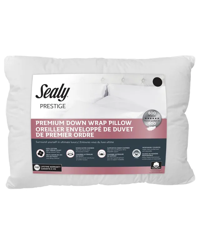 Sealy 100% Cotton Extra Firm Support Pillows - Macy's