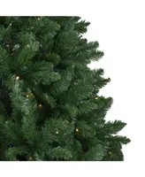 Northlight Pre-Lit Full Twin Lakes Fir Artificial Christmas Tree