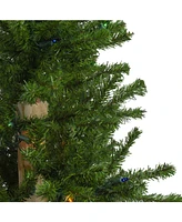 Northlight Pre-Lit Slim Alpine Artificial Christmas Trees