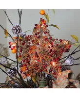 Northlight Brown Rattan with Red Berries Star Christmas Tree Topper
