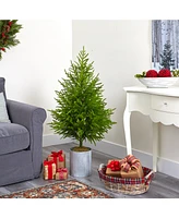 Nearly Natural Norfolk Island Pine "Natural Look" Artificial Tree