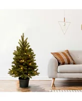 National Tree 3' Jersey Fraser Fir Tree with Battery-Operated Warm White Led Lights