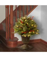 National Tree 24" "Feel Real" Colonial Porch Bush with Cones, Red Berries, and 50 Clear Lights