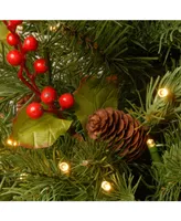 National Tree Company 2' Feel Real Nordic Spruce Tree w Cones & Berries in Burlap w Warm White Lights & Timer