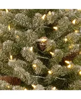 National Tree 3' Snowy Concolor Fir Small Tree in Burlap with Snowy Cones Warm White Battery Operated LEDs with Timer