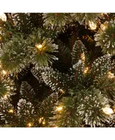 National Tree Company 24" Glittery Bristle Pine Wreath with 50 Soft White C7 Led Lights