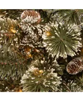 National Tree Company 32" Glittery Bristle Pine Snowflake with 21 White Tipped Cones & 50 Warm White Battery Operated Led Lights w/Timer