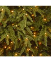 National Tree 7.5' Feel Real Northern Fraser Hinged Tree with 800 Clear Lights