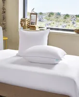 Martha Stewart Premium Down Pillow