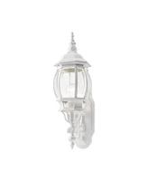 Frontenac 1 Light Outdoor Wall Lantern