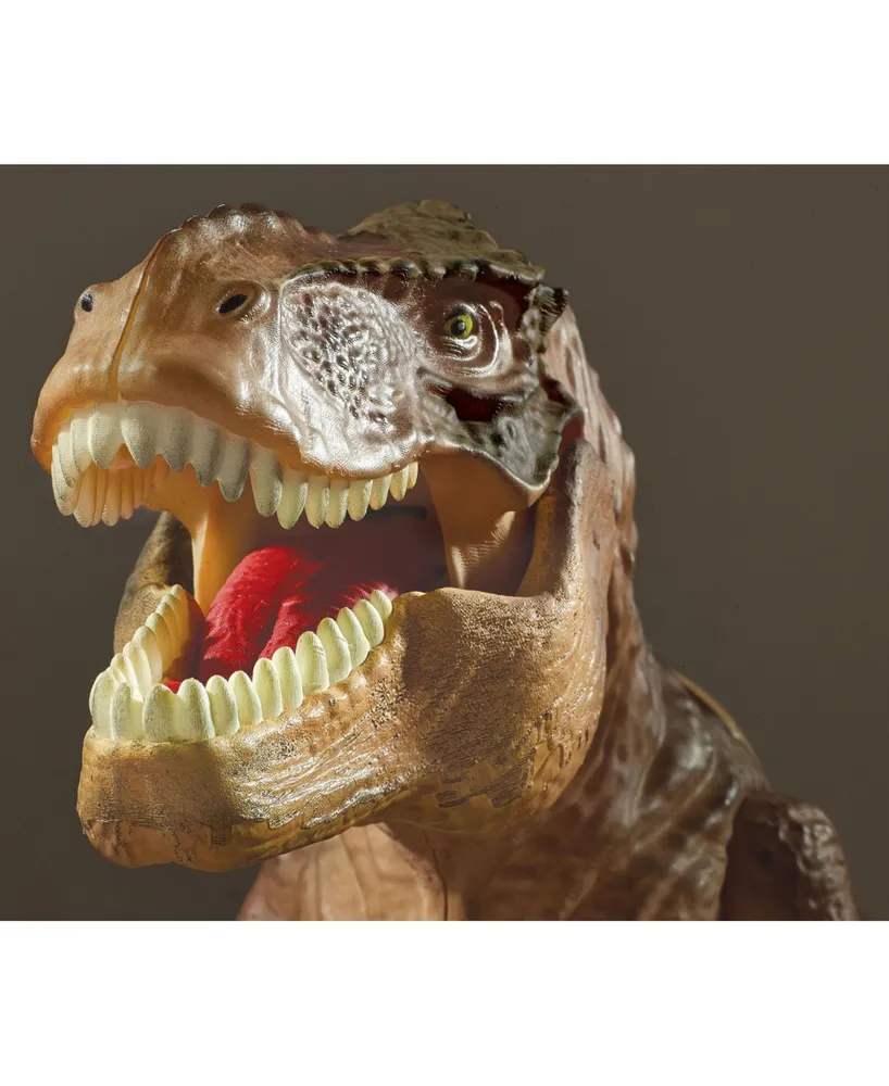 Brainstorm Toys T Rex Projector and Room Guard - 24 Images - Guards Your Room with A Mighty Roar