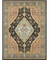 Karastan Zephyr Bidjar 8' x 10' Area Rug