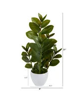 22" Zamioculcas Artificial Plant in Planter