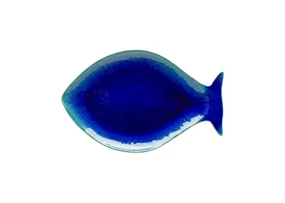 Casafina Dori Large Fish Platter 17 Inch