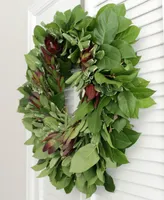 Magnolia Supply Co Fresh Lemon Leaf, Pittosporum and Safari Sunset Wreath, 20"