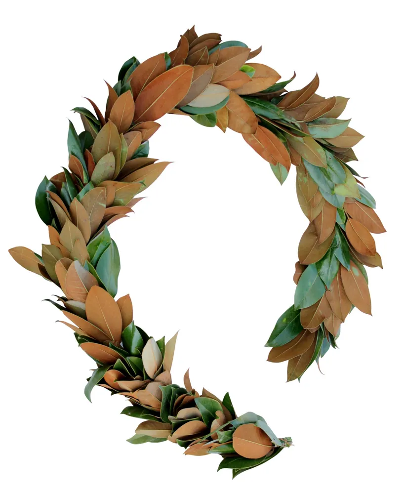 Magnolia Supply Co Fresh Magnolia Garland, 6'