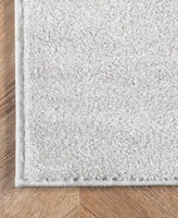 nuLoom Thomas Paul BDTP04A 2'5" x 9'6" Runner Area Rug