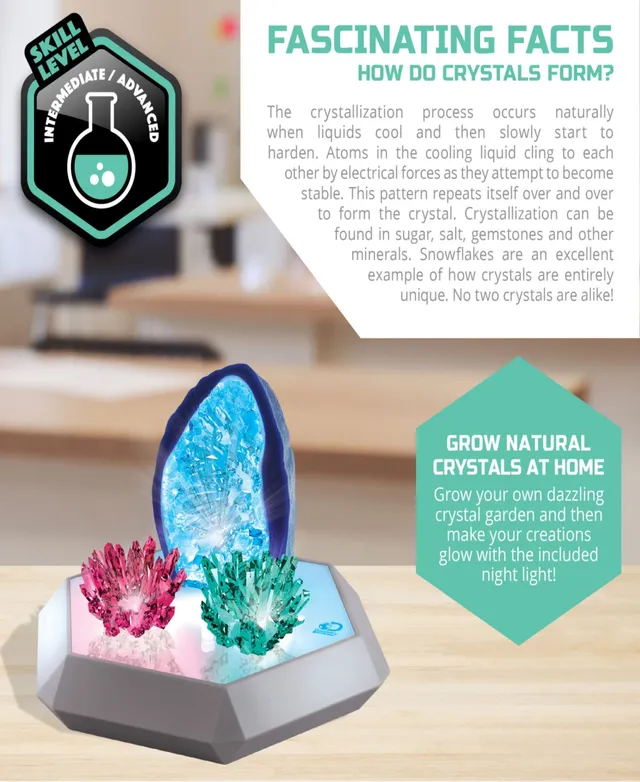 Smithsonian Crystal Growing Kit - Electronic Crystals