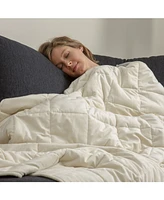 Sealy Quilted Plush 12.2lbs Weighted Blanket