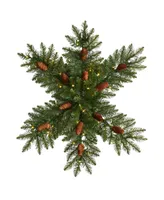 Pre-Lit Snowflake Artificial Dunhill Fir Wreath with Pinecones and 40 Led Lights, 30"