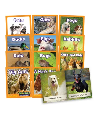 Junior Learning Science Decodables Phase- Non-Fiction Educational Learning Set