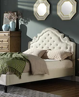 Theresa Modern Tufted with Nailhead Trim Bed