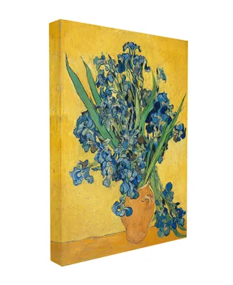 Stupell Industries Van Gogh Irises Post Impressionist Painting Stretched Canvas Wall Art, 16" x 20" - Multi
